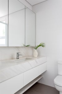 Modern bathroom featuring a marble countertop and a potted plant.