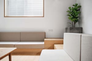 Minimalist living room with wood plywood, cushions, and plants