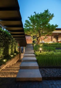 Concrete steps surrounded by greenery at dusk with modern architecture in the background.
