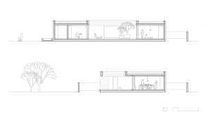 Cross-sectional architectural plan of a modern home showcasing spacious, light-filled interiors.