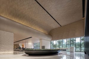 Modern lobby interior with sleek wood-paneled ceiling and large glass windows