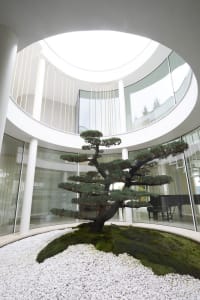 A minimalist interior with concrete walls and a round room featuring a bonsai tree in a moss bed.