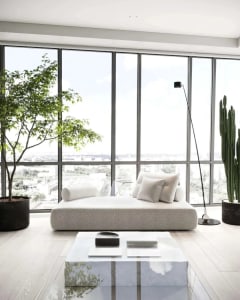 A minimalist living room with a sleek, modern couch, plants, and a coffee table.