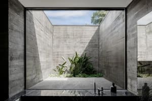 Concrete walls and floor in an industrial-style interior space with green plants and a skylight.