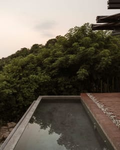 A modern swimming pool with a concrete edge surrounded by a brick patio and greenery in the background.