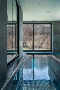 Modern indoor swimming pool with glass walls and a view of bare trees through a large window.