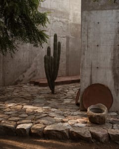Concrete courtyard with a cactus and natural stone pathway.
