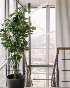 A modern office space featuring glass, metal, and wood elements.