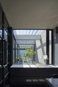 Modern residential kitchen with a concrete ceiling and a plant.