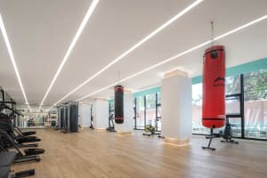 Modern minimalist gym interior with contemporary fitness equipment and boxing bags.