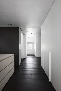 Modern minimalist hallway with blackwood floor and concrete walls.