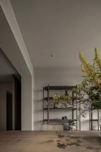 A modern minimalist living room with wooden flooring, metal shelving, and potted plants.