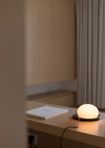 A minimalist interior design showcasing a wooden bookshelf with a white book titled 'Freud' on top.