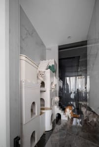 A modern, white indoor cat play space with various levels and platforms for cats to explore and relax.