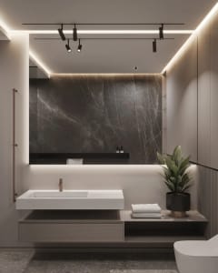 Modern bathroom interior with marble wall, floating vanity, and green plant.