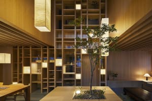 A modern residential space featuring wooden materials and a lush indoor tree.
