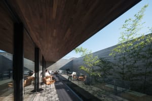 A sleek, minimalist terrace with wooden furniture and plants, featuring a large window and a wooden ceiling.