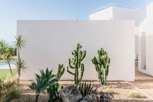 A modern architectural detail featuring a white wall and concrete plants.