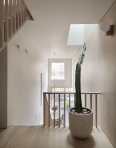 Modern minimalist corridor with wooden floor and large potted cactus.