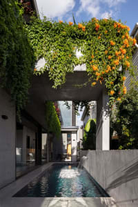 A futuristic modern concrete residential pool with greenery and flowers growing on a patio roof