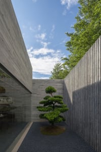 A minimalist outdoor space featuring a concrete wall and a neatly pruned tree, with a clear blue sky in the background.