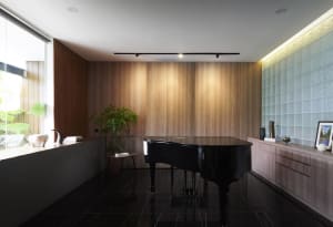 A modern interior music room with wooden walls, a black grand piano, and a plant.