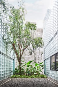 A minimalist green space surrounded by glass-brick walls.