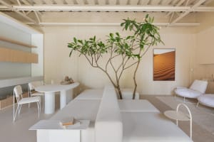 A modern minimalist living room with white furniture and a green plant.