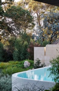 A modern outdoor garden featuring a luxurious pool, concrete structures, and lush greenery with blue flowering trees.