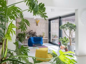 A modern living room with green plants, blue and yellow furniture, and large windows.