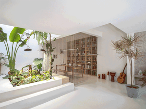 A minimalist modern home office with green roof garden, wooden shelves, and concrete floors.