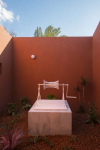 A minimalistic garden with concrete plant beds and assorted tropical plants.