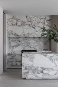 A modern kitchen with marble countertops and backsplash, featuring stainless steel appliances and a potted plant.