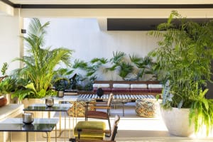 A modern living room with natural materials and green plants.
