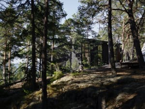 A minimalist residential cabin surrounded by trees with a modern design