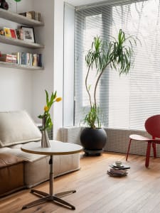 A minimalist living room with a plant, window, and sunlight coming through, featuring tulips in a vase on a table.