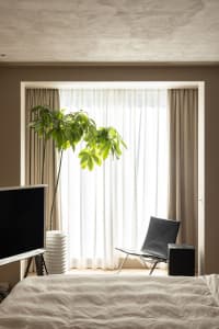 A minimalist bedroom with a bed, a plant, and a chair in front of a window with natural light.