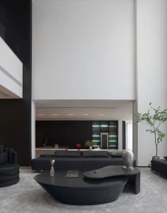 A modern living room with minimalist black and white decor