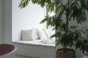 A cozy window seat with white cotton blankets and a small green potted plant nearby.
