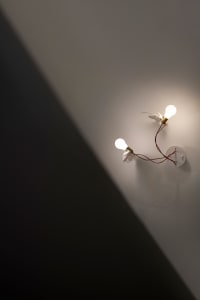 Two minimalist wall-mounted light bulbs with white feathers attached to them, casting light on a white wall with a shadow.