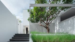 A modern house with a concrete exterior and a tree in the foreground.