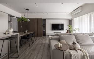 A minimalist living room with neutral-toned furniture and decor, featuring a comfortable sofa, a sleek dining area, and a fla