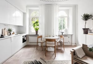 Modern minimalist apartment kitchen and living room with white cabinets, wooden flooring, and potted plants.