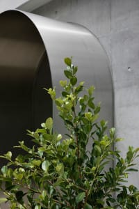 Modern interior space featuring a textured concrete wall and green foliage.