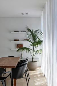 Modern dining room featuring a wooden table, potted palm plant, and cement floor.