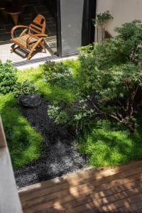 A minimalist gravel garden with green plants and a wooden deck.