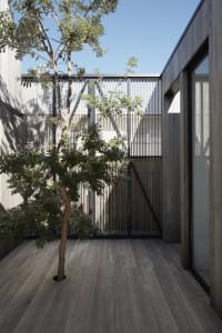 A modern interior design featuring wooden elements, with a tree in the center and a wooden deck.