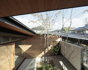 A modern architectural exterior featuring wooden walls.