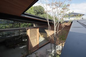 Modern residential exterior featuring wooden elements, glass windows, and concrete structures