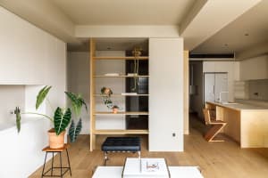 Modern, minimalist apartment interior featuring white walls, wooden shelves, and potted plants.